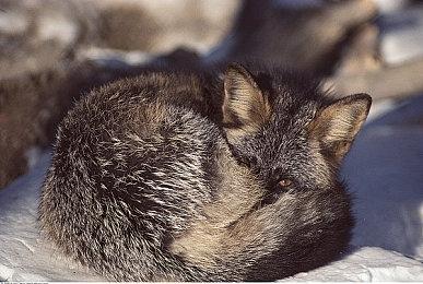 老板最不希望你上班摸鱼玩的游戏！整顿职场题材RPG《恶魔会社：入职》正式上架Steam